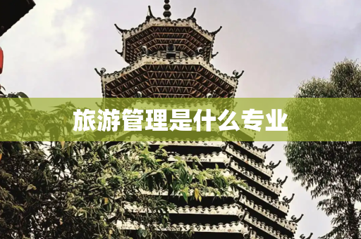 旅游管理是什么专业