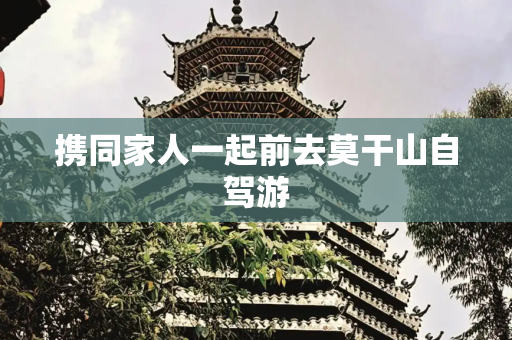 携同家人一起前去莫干山自驾游