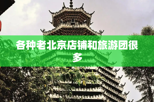 各种老北京店铺和旅游团很多