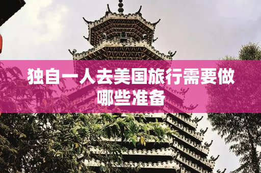 独自一人去美国旅行需要做哪些准备