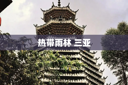 热带雨林 三亚