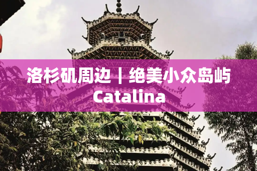 洛杉矶周边｜绝美小众岛屿Catalina