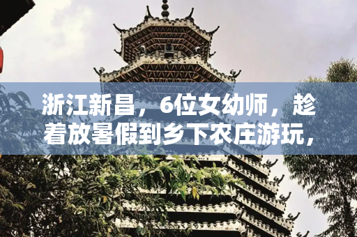 浙江新昌，6位女幼师，趁着放暑假到乡下农庄游玩，农庄主人客气的说想吃什么自己摘
