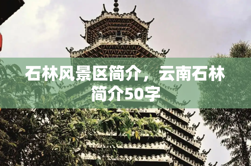 石林风景区简介，云南石林简介50字