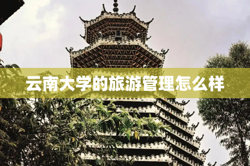 云南大学的旅游管理怎么样