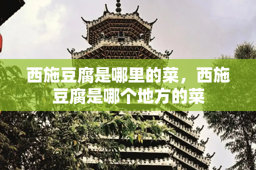 西施豆腐是哪里的菜，西施豆腐是哪个地方的菜