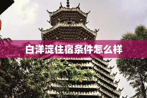 白洋淀住宿条件怎么样