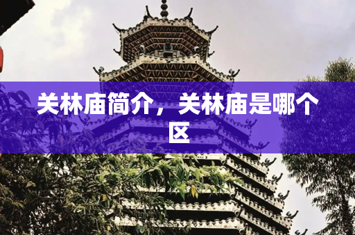 关林庙简介，关林庙是哪个区