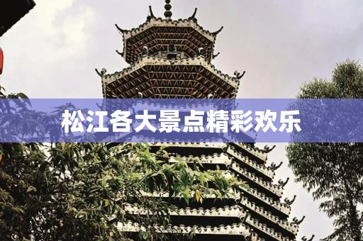 松江各大景点精彩欢乐