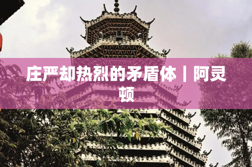 庄严却热烈的矛盾体｜阿灵顿