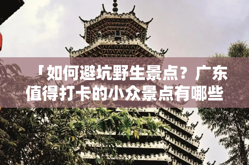 「如何避坑野生景点？广东值得打卡的小众景点有哪些？」