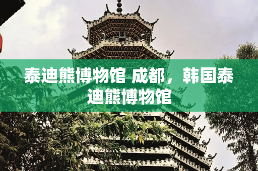 泰迪熊博物馆 成都，韩国泰迪熊博物馆