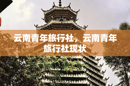 云南青年旅行社，云南青年旅行社现状