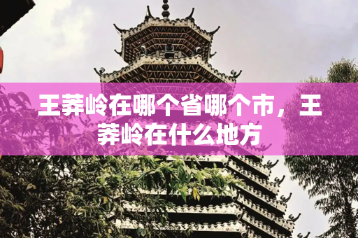 王莽岭在哪个省哪个市，王莽岭在什么地方