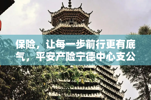 保险，让每一步前行更有底气，平安产险宁德中心支公司开展7.8全国保险公众宣传日