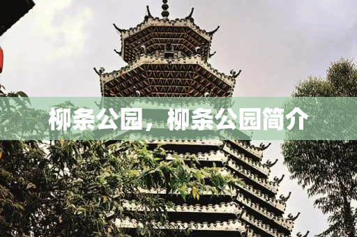 柳条公园，柳条公园简介