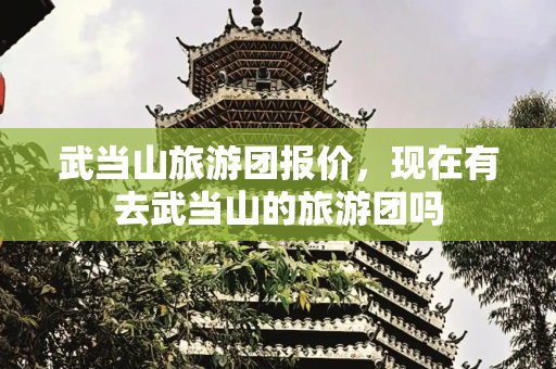 武当山旅游团报价，现在有去武当山的旅游团吗