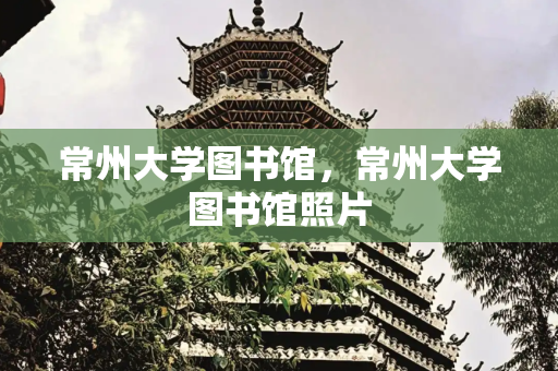 常州大学图书馆，常州大学图书馆照片