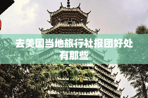 去美国当地旅行社报团好处有那些