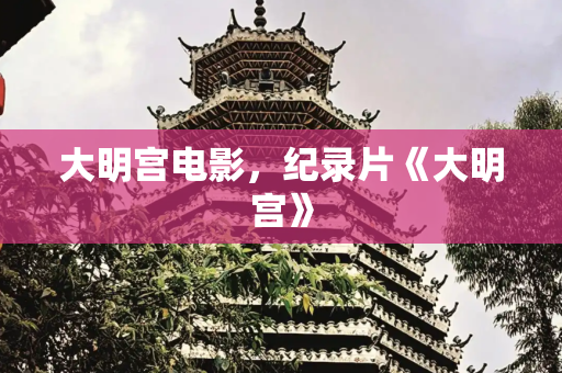 大明宫电影，纪录片《大明宫》