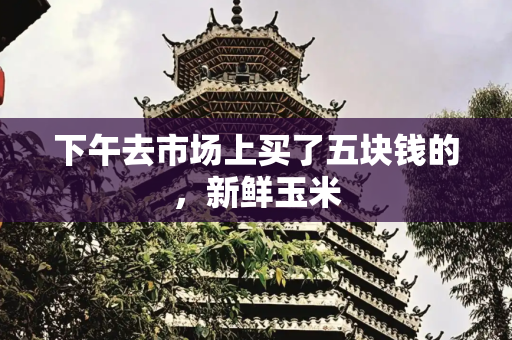 下午去市场上买了五块钱的，新鲜玉米