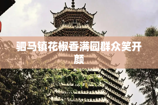 驷马镇花椒香满园群众笑开颜