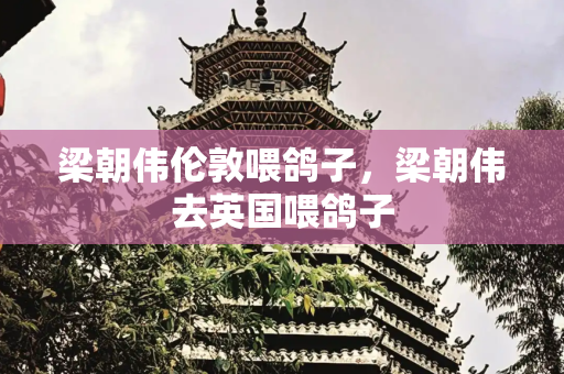 梁朝伟伦敦喂鸽子，梁朝伟去英国喂鸽子