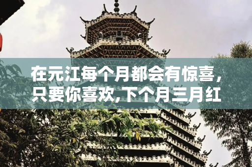 在元江每个月都会有惊喜，只要你喜欢,下个月三月红荔枝和三月李子上市，还有米干节；