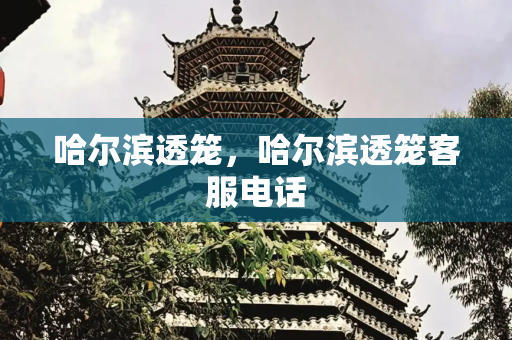 哈尔滨透笼，哈尔滨透笼客服电话