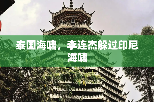 泰国海啸，李连杰躲过印尼海啸