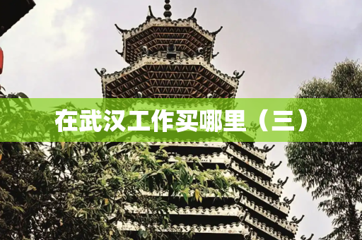 在武汉工作买哪里（三）