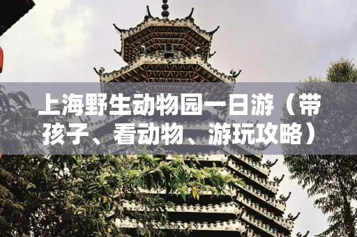 上海野生动物园一日游（带孩子、看动物、游玩攻略）