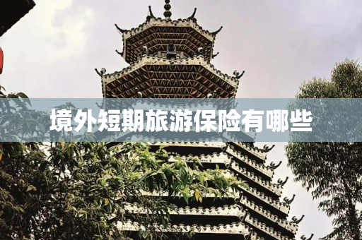 境外短期旅游保险有哪些