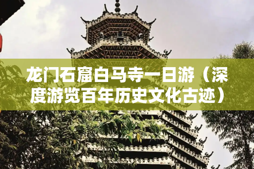 龙门石窟白马寺一日游（深度游览百年历史文化古迹）