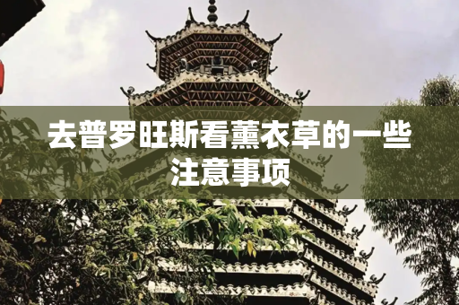 去普罗旺斯看薰衣草的一些注意事项