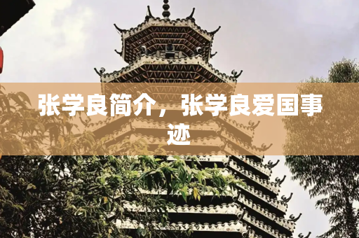 张学良简介，张学良爱国事迹