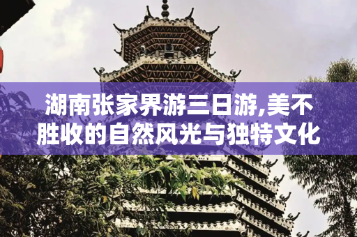 湖南张家界游三日游,美不胜收的自然风光与独特文化体验