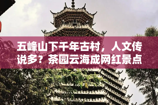 五峰山下千年古村，人文传说多？茶园云海成网红景点？
