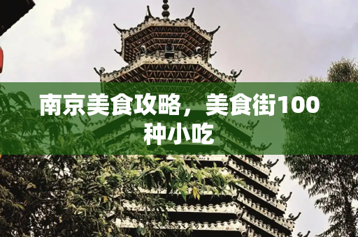 南京美食攻略，美食街100种小吃