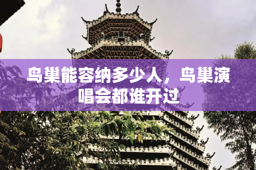 鸟巢能容纳多少人，鸟巢演唱会都谁开过