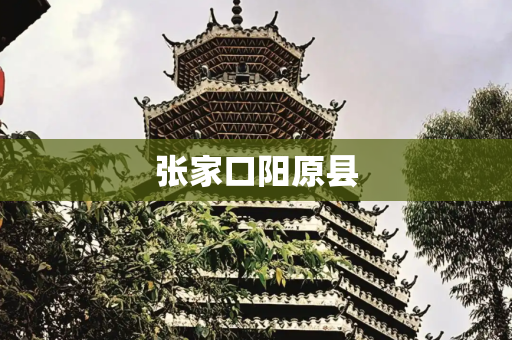 张家口阳原县
