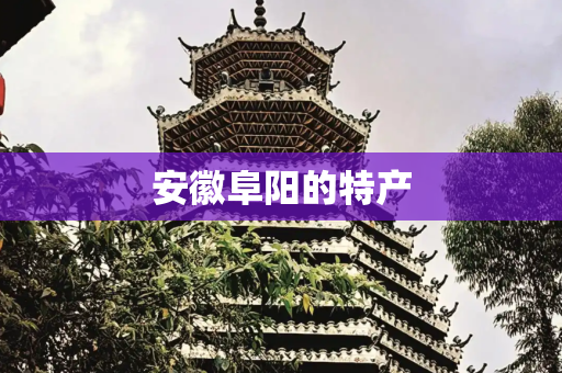 安徽阜阳的特产