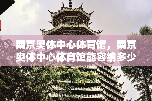 南京奥体中心体育馆，南京奥体中心体育馆能容纳多少人