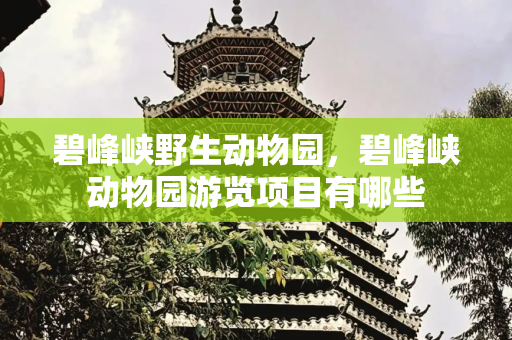 碧峰峡野生动物园，碧峰峡动物园游览项目有哪些