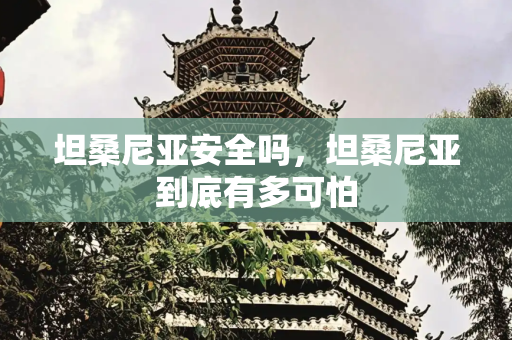 坦桑尼亚安全吗，坦桑尼亚到底有多可怕