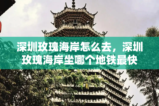 深圳玫瑰海岸怎么去，深圳玫瑰海岸坐哪个地铁最快