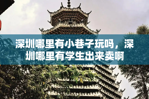 深圳哪里有小巷子玩吗，深圳哪里有学生出来卖啊