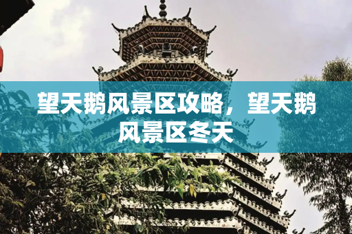 望天鹅风景区攻略，望天鹅风景区冬天