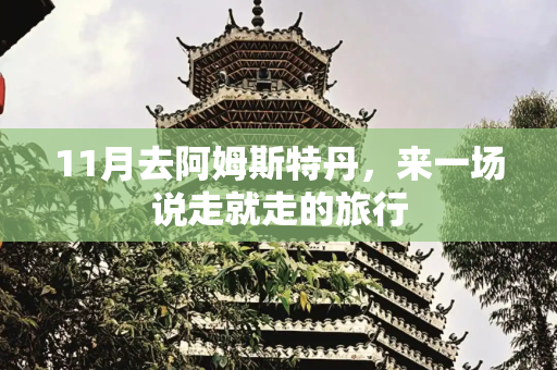 11月去阿姆斯特丹，来一场说走就走的旅行