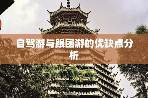 自驾游与跟团游的优缺点分析